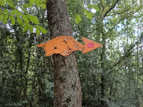 20250915-Rebisclou_01