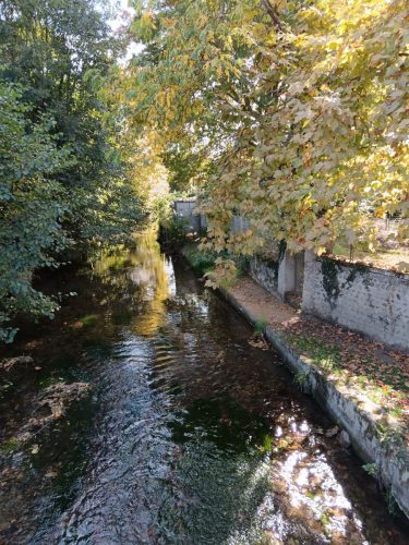 20251013-Orleix_Forêt_06