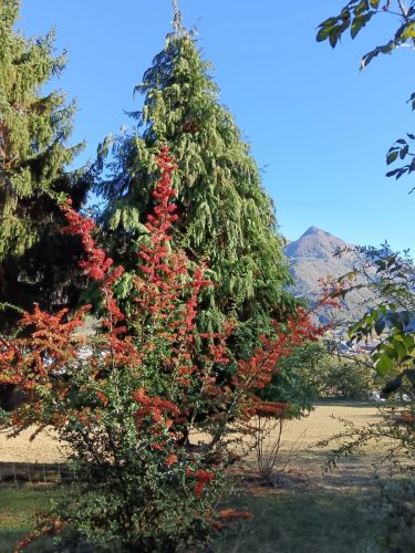 20251027-Pierrefitte_Tramway_01