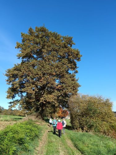 Promenades et découvertes - Novembre / Décembre 2025