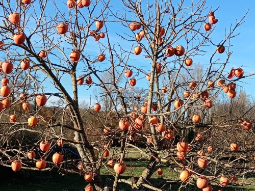 20251208-Lagarde_Siarrouy_11