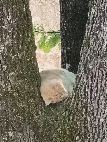 Bonaguil-Villeréal-Montflanquin_02