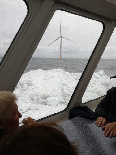 IMG_20250917_100532_resized_20251021_091503742