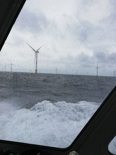 IMG_20250917_101412_resized_20251021_091155401