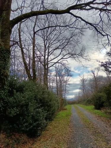 Promenades-Découvertes-Janvier-Mars-2026_03