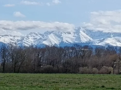 Promenades-Découvertes-Janvier-Mars-2026_11